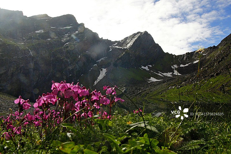 喜马拉雅山图片素材