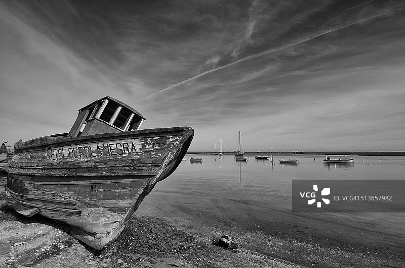 黑珍珠图片素材