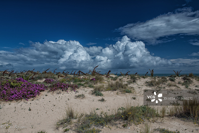 海滩上的锚图片素材