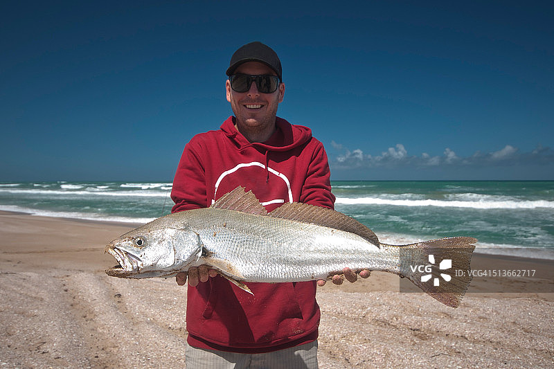 成功捕获澳洲鲈鱼图片素材