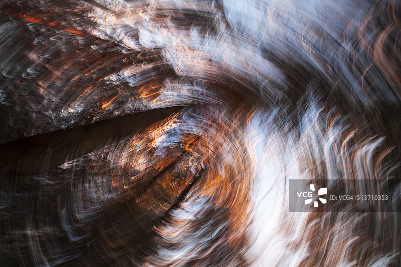 阳光下摇曳的树梢图片素材