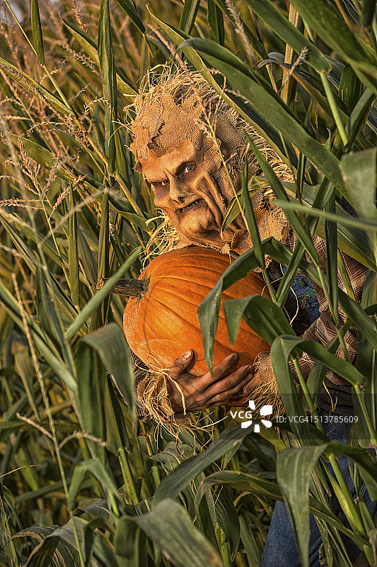 手持南瓜的稻草人图片素材