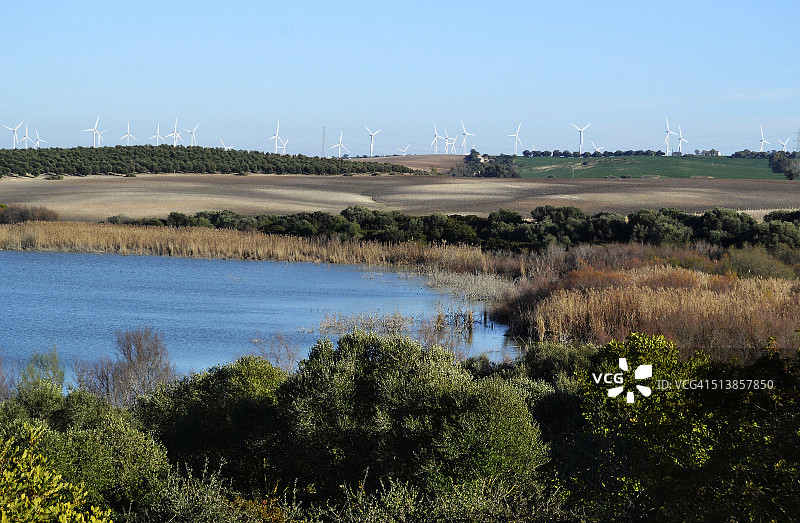 赫雷斯-德拉弗龙特拉的麦地那泻湖图片素材