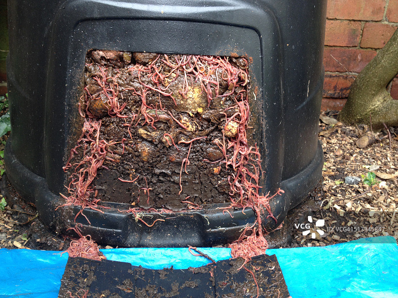 自给自足的家庭图片素材