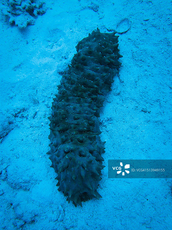 水下的场景图片素材