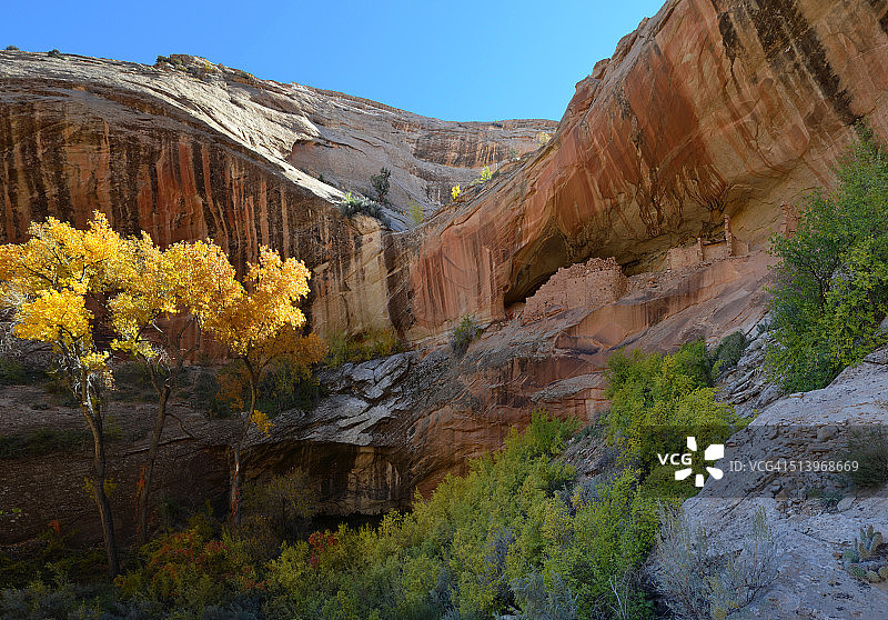 帝王蝶洞穴图片素材