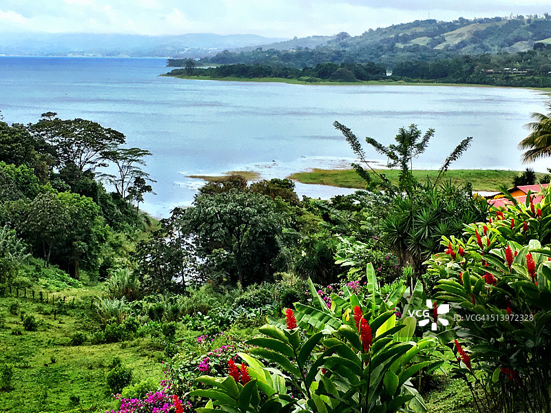 阿雷纳尔湖上的薄雾图片素材