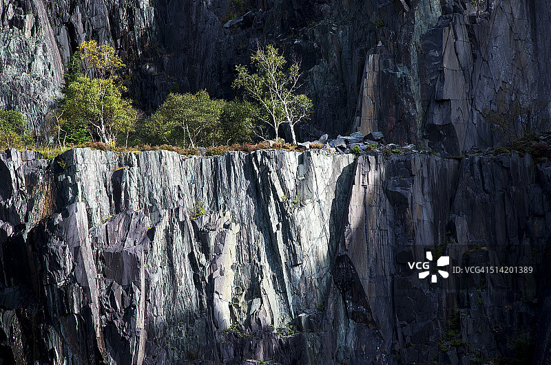 聚光灯下的树木，维维安采石场，兰贝里斯图片素材