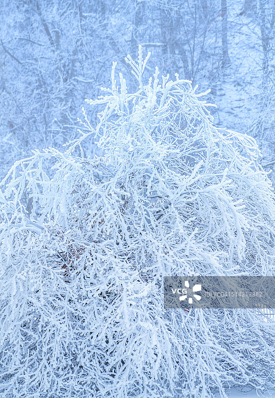 冬季的尼亚加拉瀑布图片素材