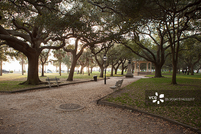 南卡罗来纳州查尔斯顿的白色角点花园图片素材