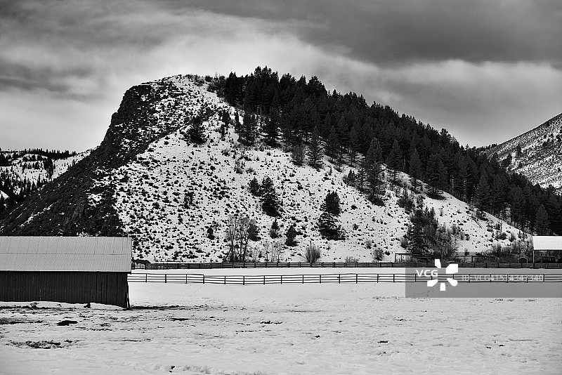农田和山坡（黑白）图片素材