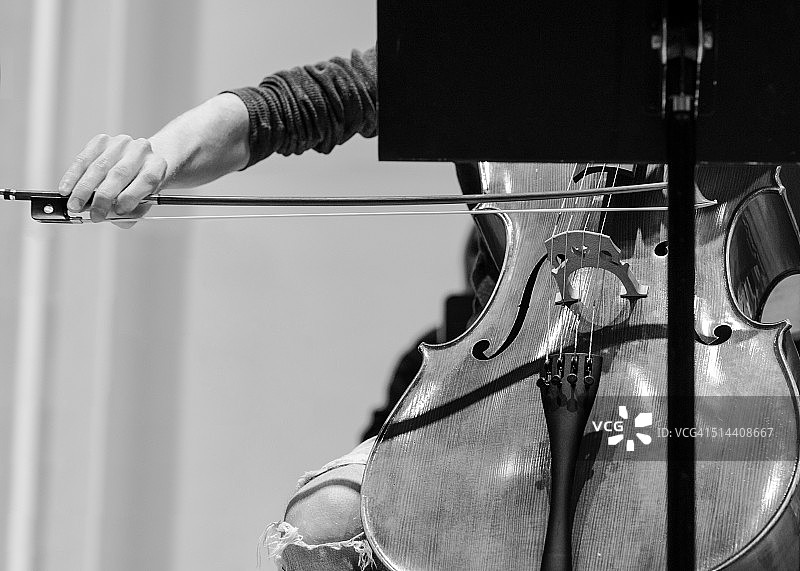 在大学管弦乐队演奏大提琴的白人学生图片素材