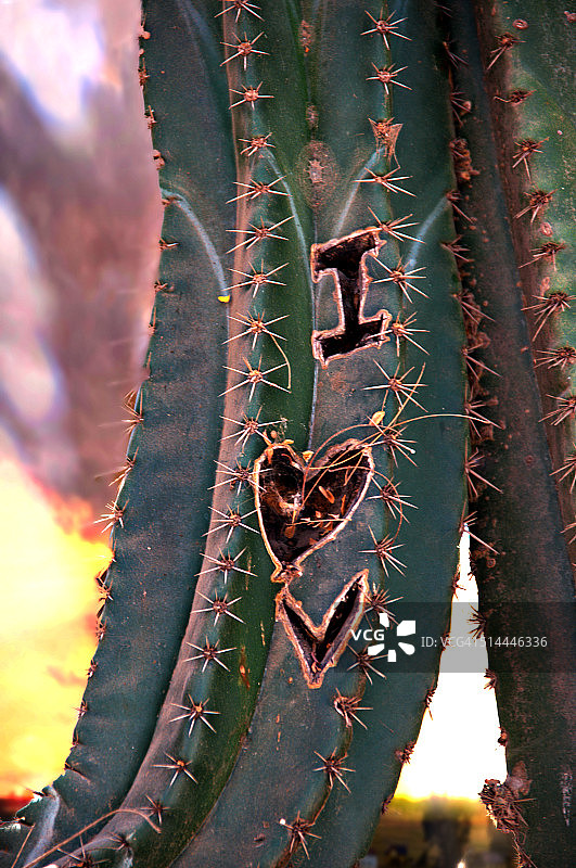 情人节简报图片素材