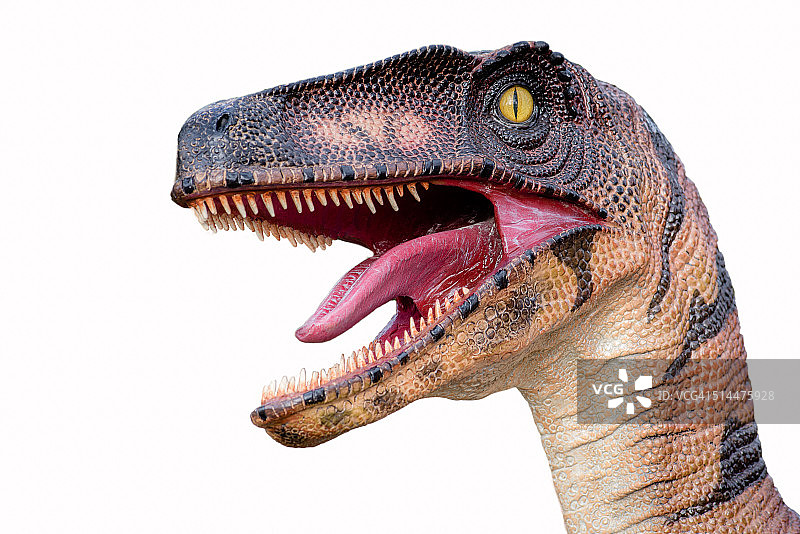 霸王龙图片素材