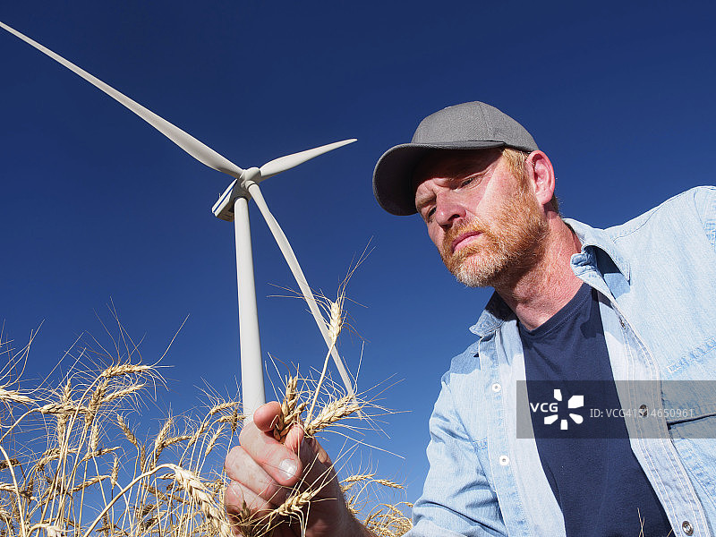 自然的力量图片素材