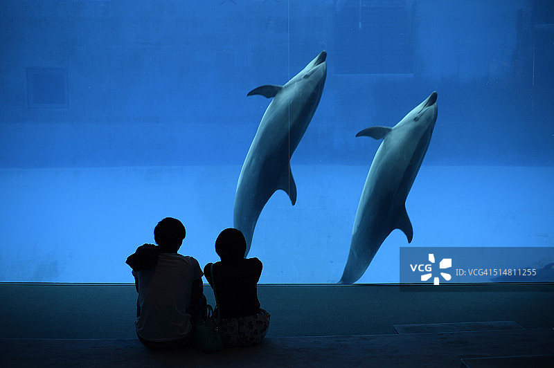 两对情侣图片素材