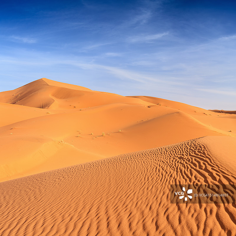 非洲西撒哈拉沙漠全景图片素材