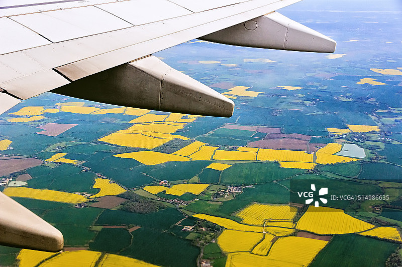 英国春季油菜花田风光图片素材