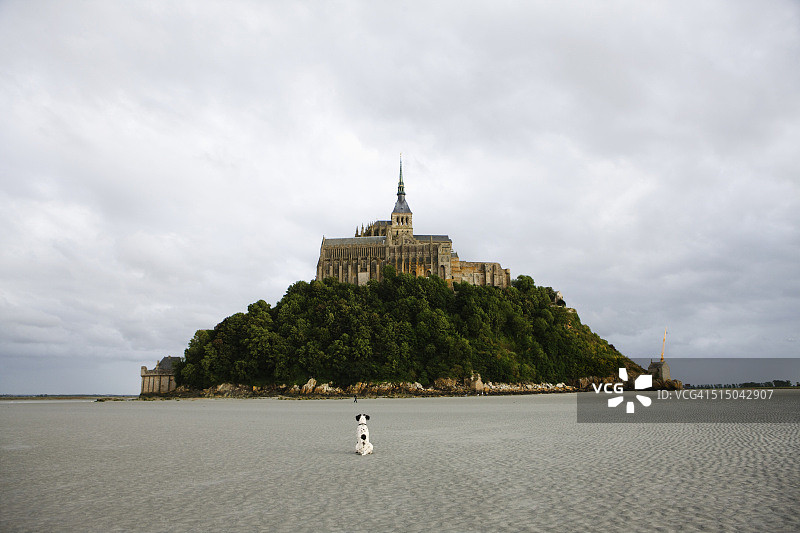 小狗坐在堡垒前图片素材