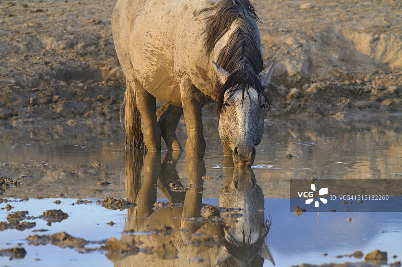 饮品倒影图片素材