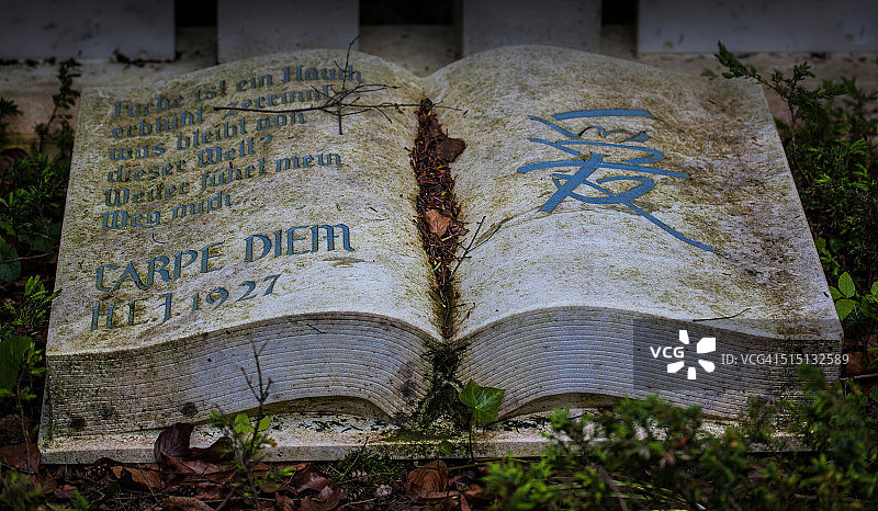 及时行乐图片素材