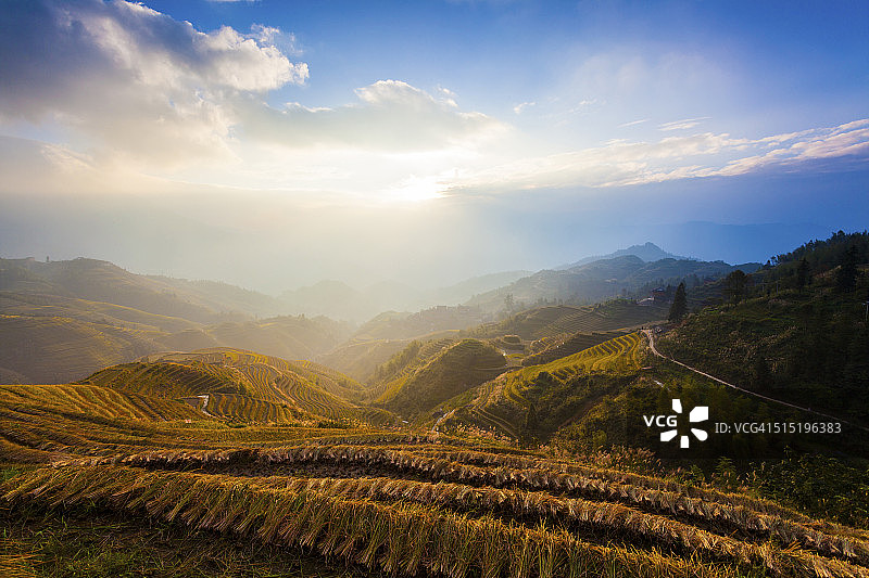 中国广西桂林龙胜稻田图片素材