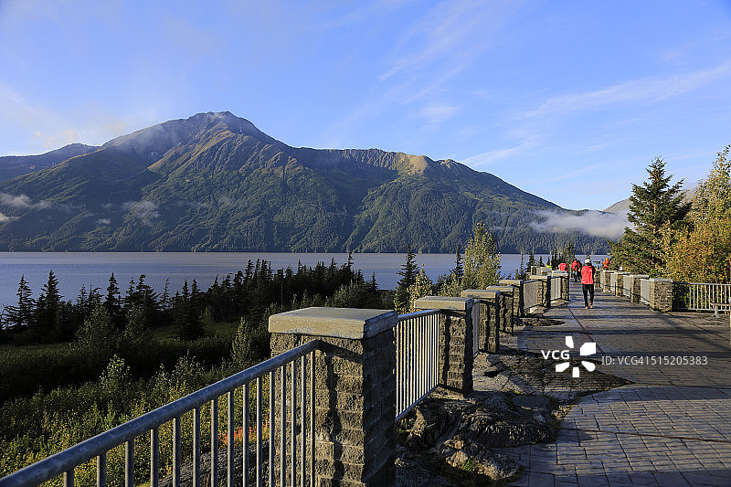 鸟类景点图片素材