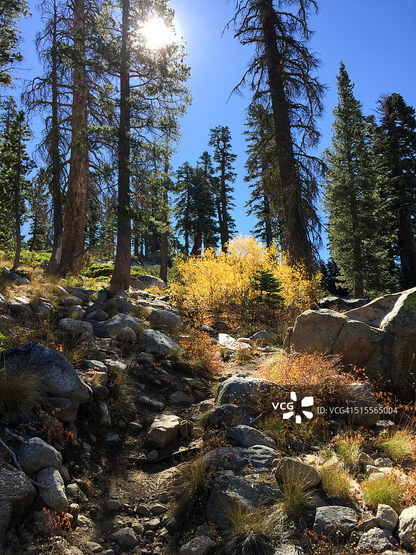 加州内华达山脉秋色中的崎岖徒步小径图片素材