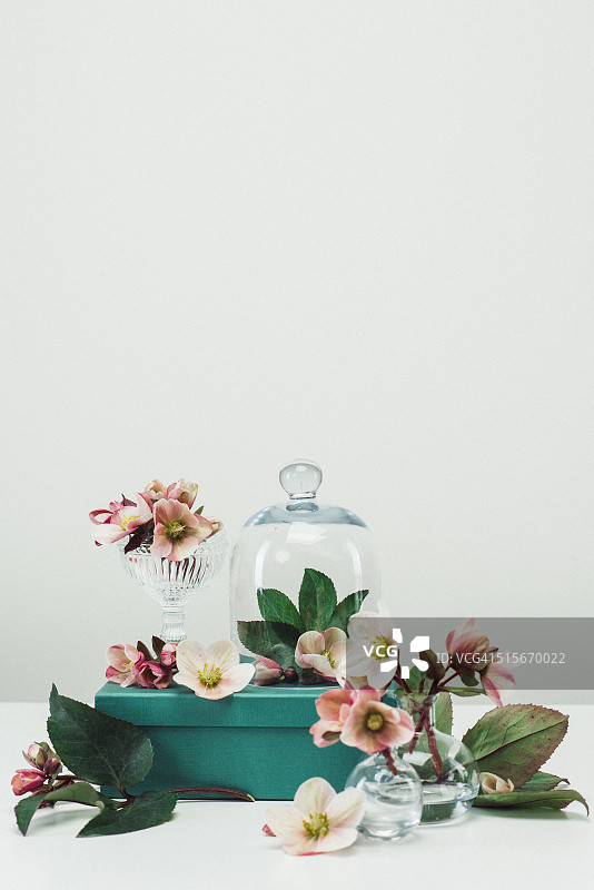 鲜花和花瓶的春季玫瑰静物图片素材