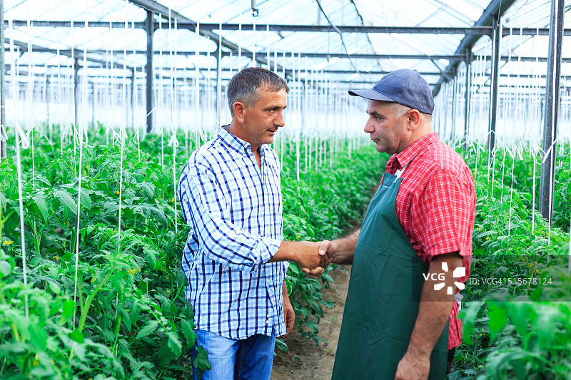 温室里的园丁握手图片素材