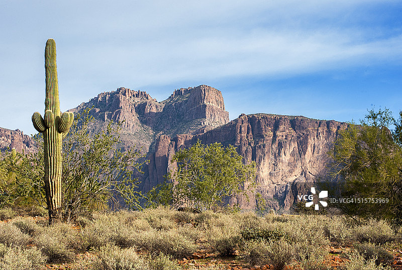 巨人柱仙人掌和迷信山图片素材