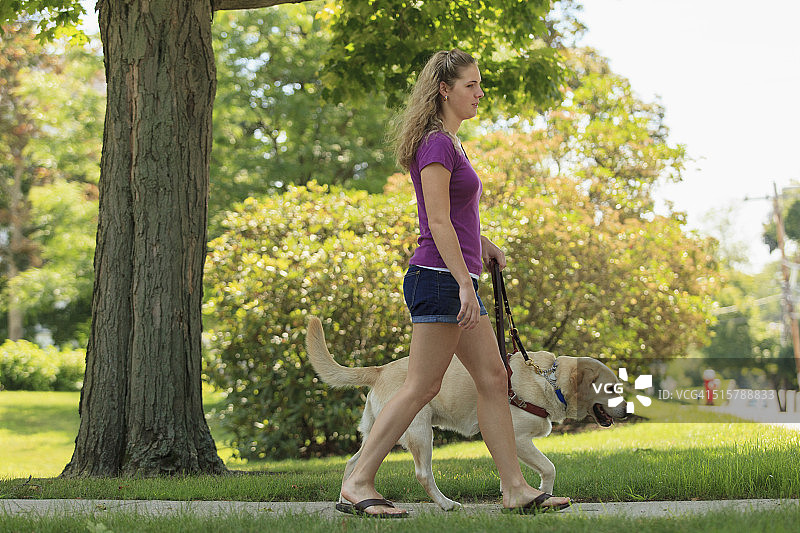 视力障碍的女人在导盲犬的帮助下行走图片素材