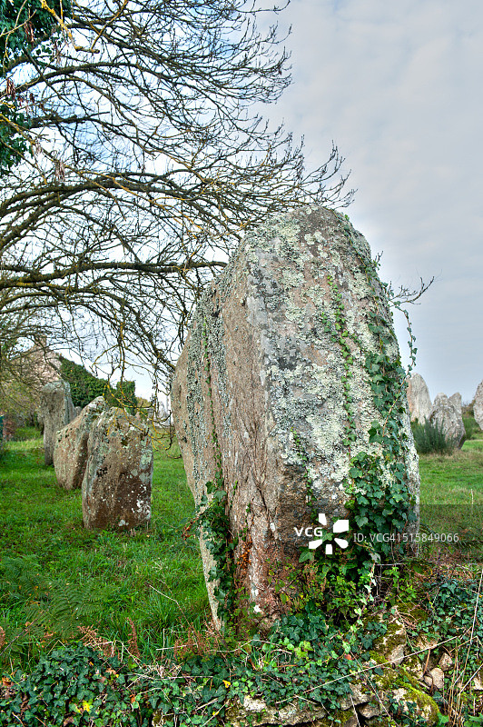法国布列塔尼卡纳克立石图片素材