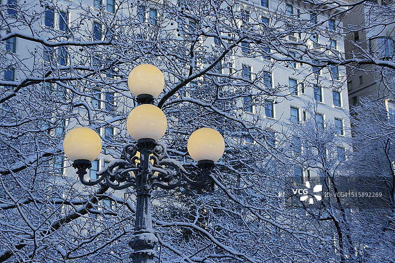 广场饭店前的雪后街灯图片素材