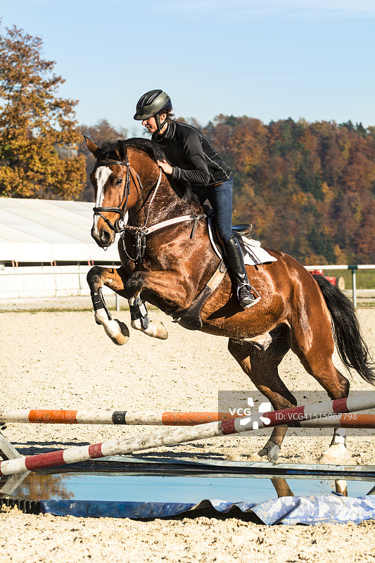 场地障碍赛训练：骑手和马跃过障碍图片素材