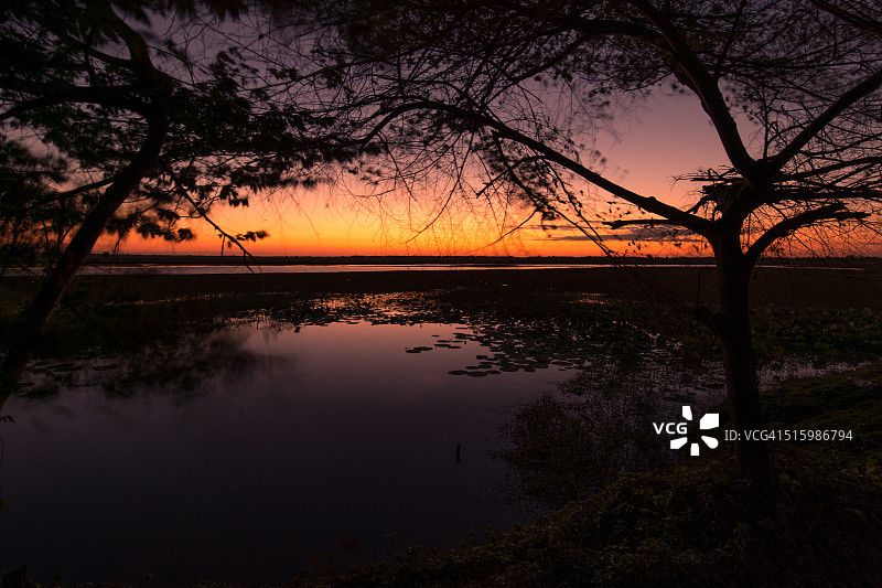泰国武里南府淮佐拉凯马克自然保护区湿地图片素材
