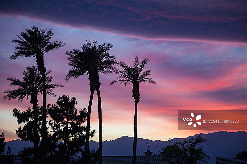 棕榈树下的日落色彩，加利福尼亚州棕榈沙漠图片素材