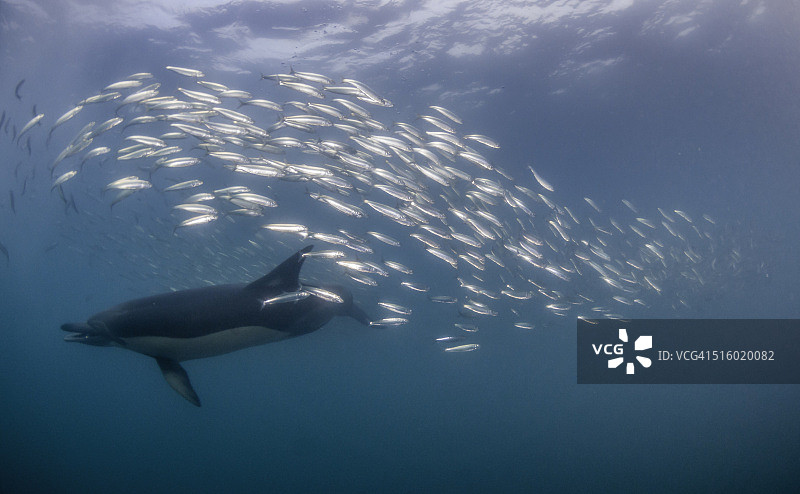 张开的嘴巴图片素材
