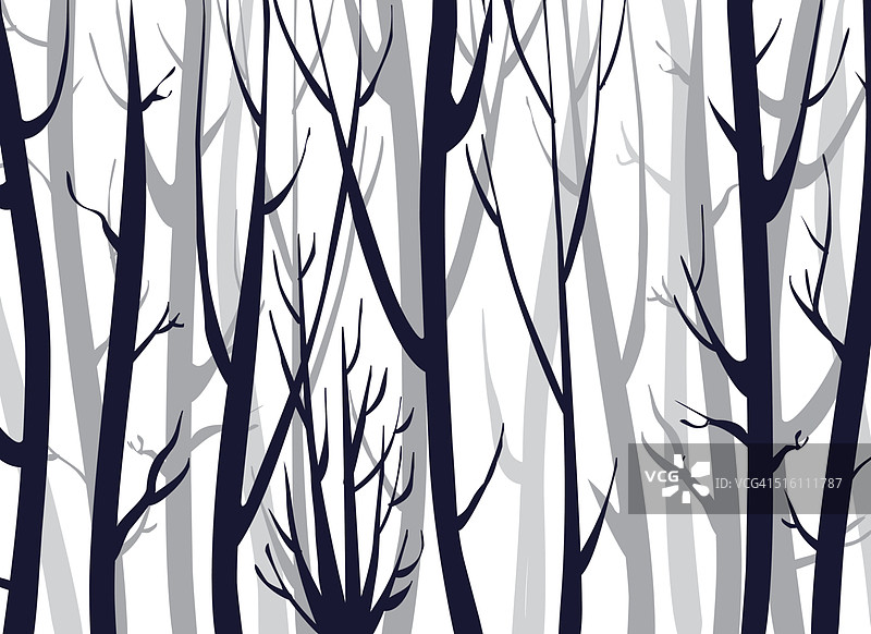 森林背景图片素材