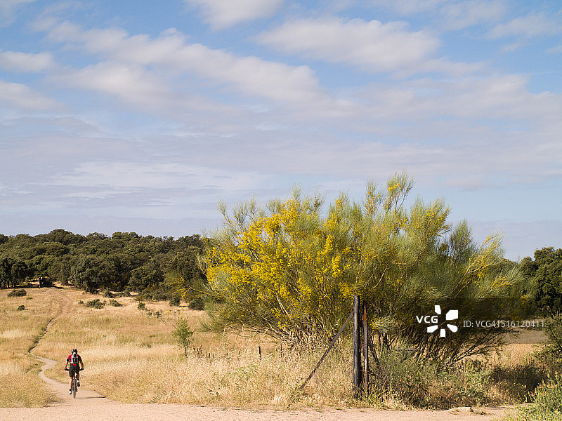 乡村山地自行车骑行者图片素材