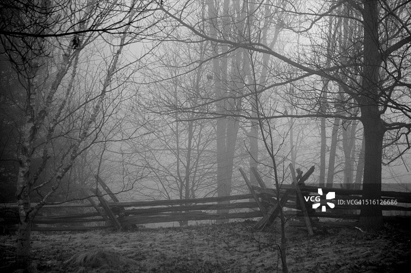 雾中的围栏图片素材