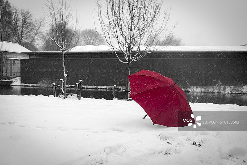 雪中的红色雨伞图片素材