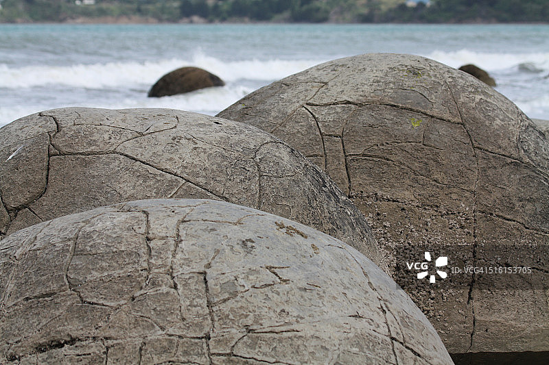 莫拉基博尔德斯图片素材