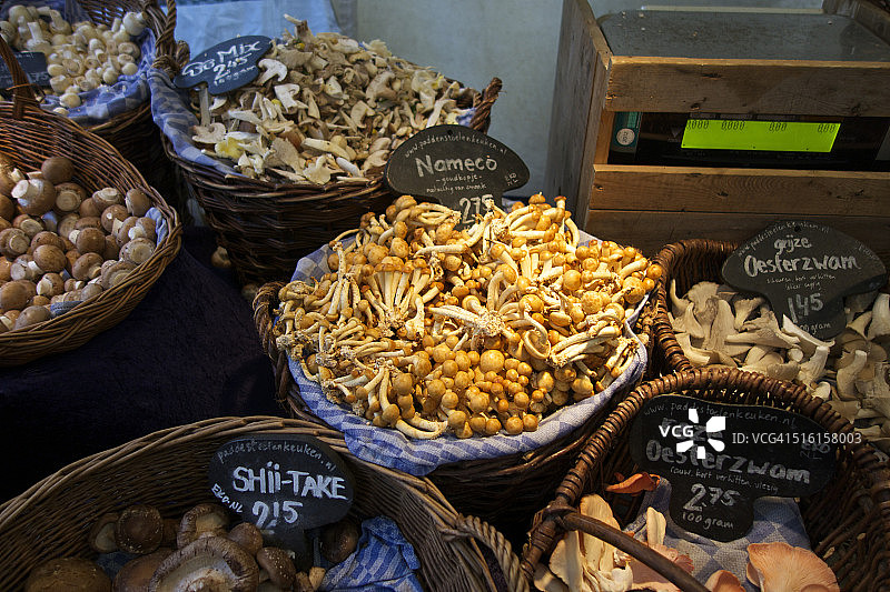阿姆斯特丹Noordermarkt农贸市场上的蘑菇图片素材