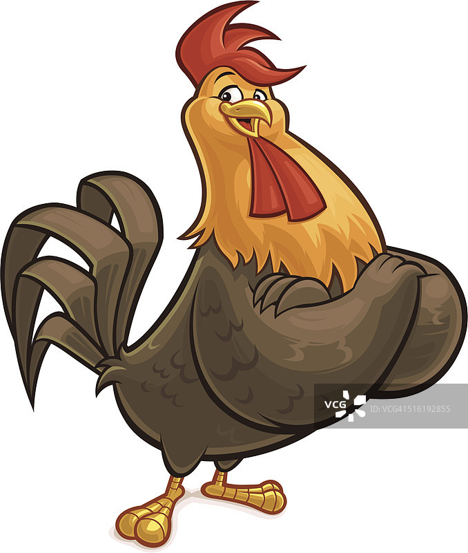 友善的公鸡图片素材