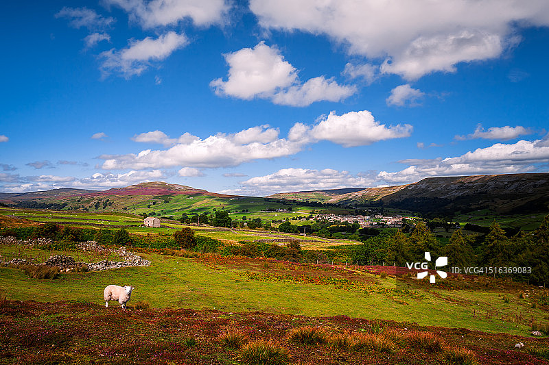 绵羊和谷仓图片素材