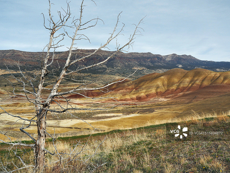 俄勒冈州约翰迪化石床国家公园彩绘山丘图片素材