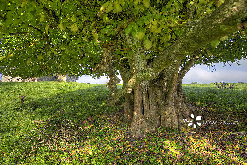 爱尔兰乡村景观图片素材