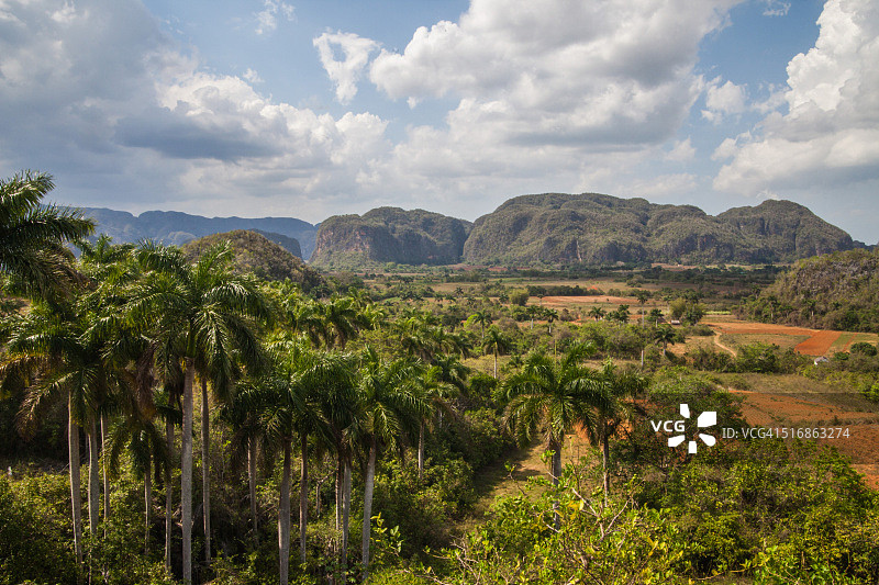 古巴比尼亚莱斯风景图片素材
