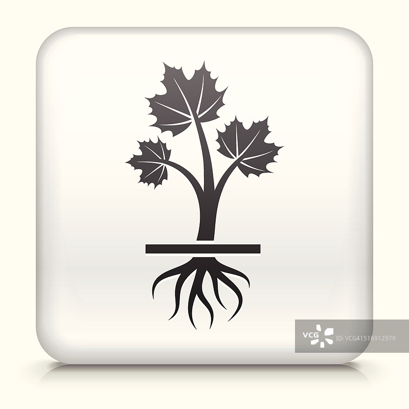 免版税矢量方形按钮与生长植物图片素材